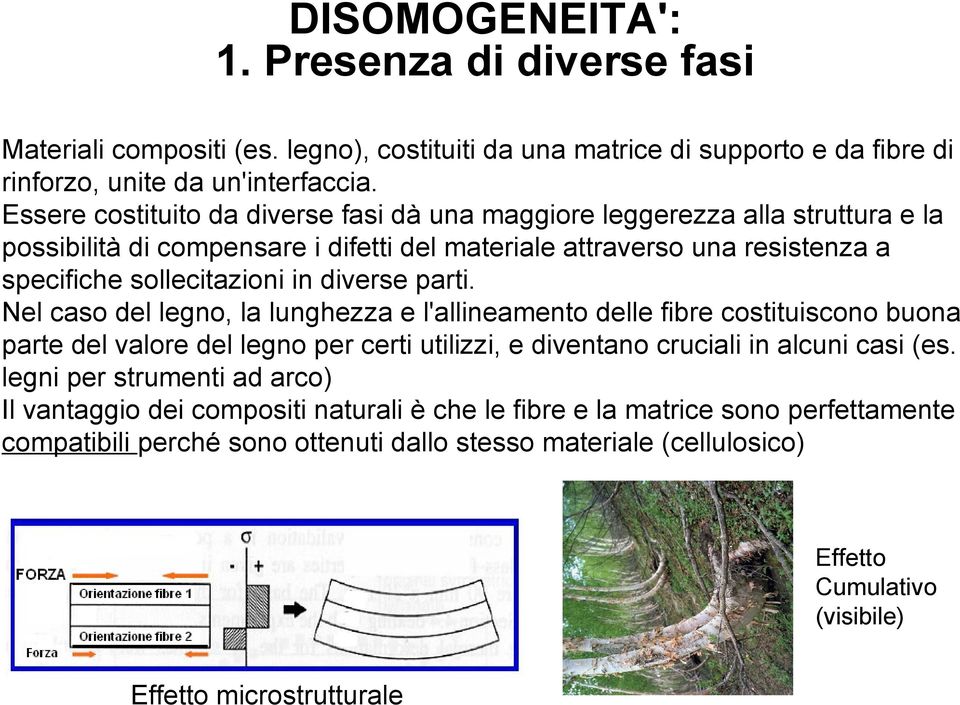 diverse parti. Nel caso del legno, la lunghezza e l'allineamento delle fibre costituiscono buona parte del valore del legno per certi utilizzi, e diventano cruciali in alcuni casi (es.