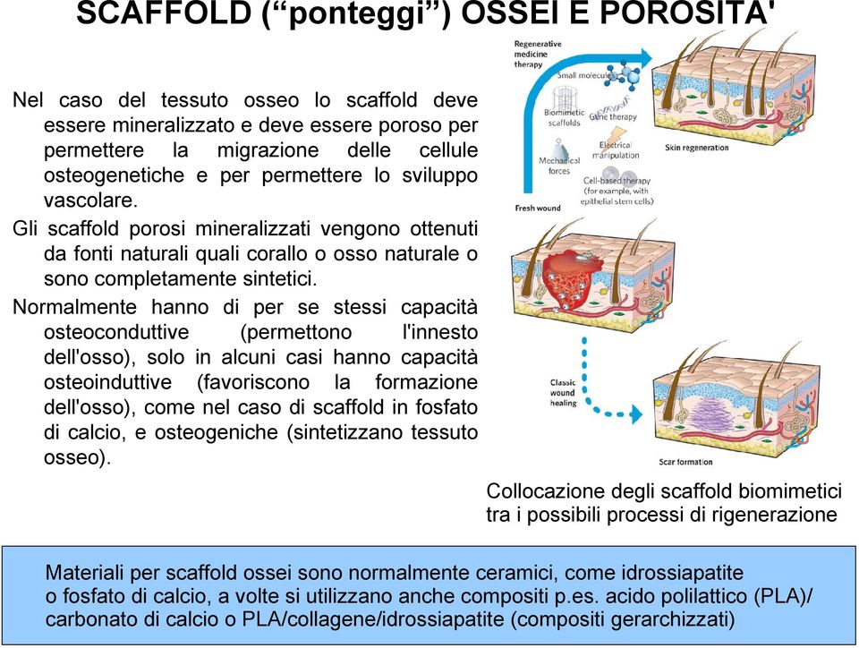 Normalmente hanno di per se stessi capacità osteoconduttive (permettono l'innesto dell'osso), solo in alcuni casi hanno capacità osteoinduttive (favoriscono la formazione dell'osso), come nel caso di