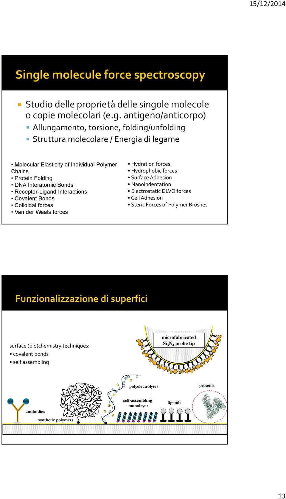 antigeno/anticorpo) Allungamento, torsione, folding/unfolding Struttura molecolare / Energia di legame Molecular Elasticity of Individual Polymer Chains Protein Folding DNA