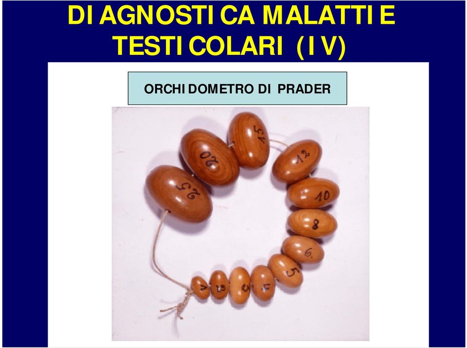 TESTICOLARI (IV)