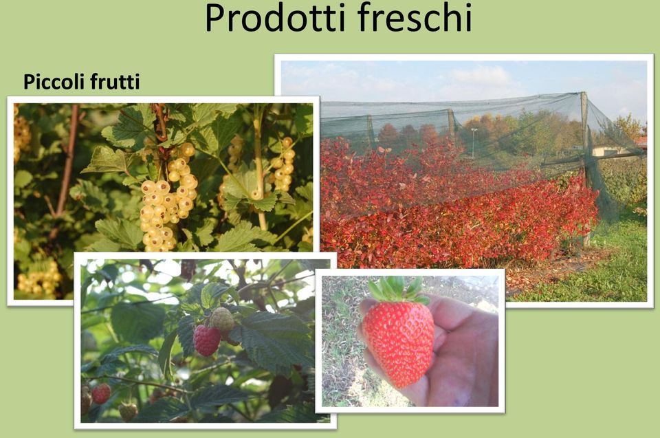 Prodotti