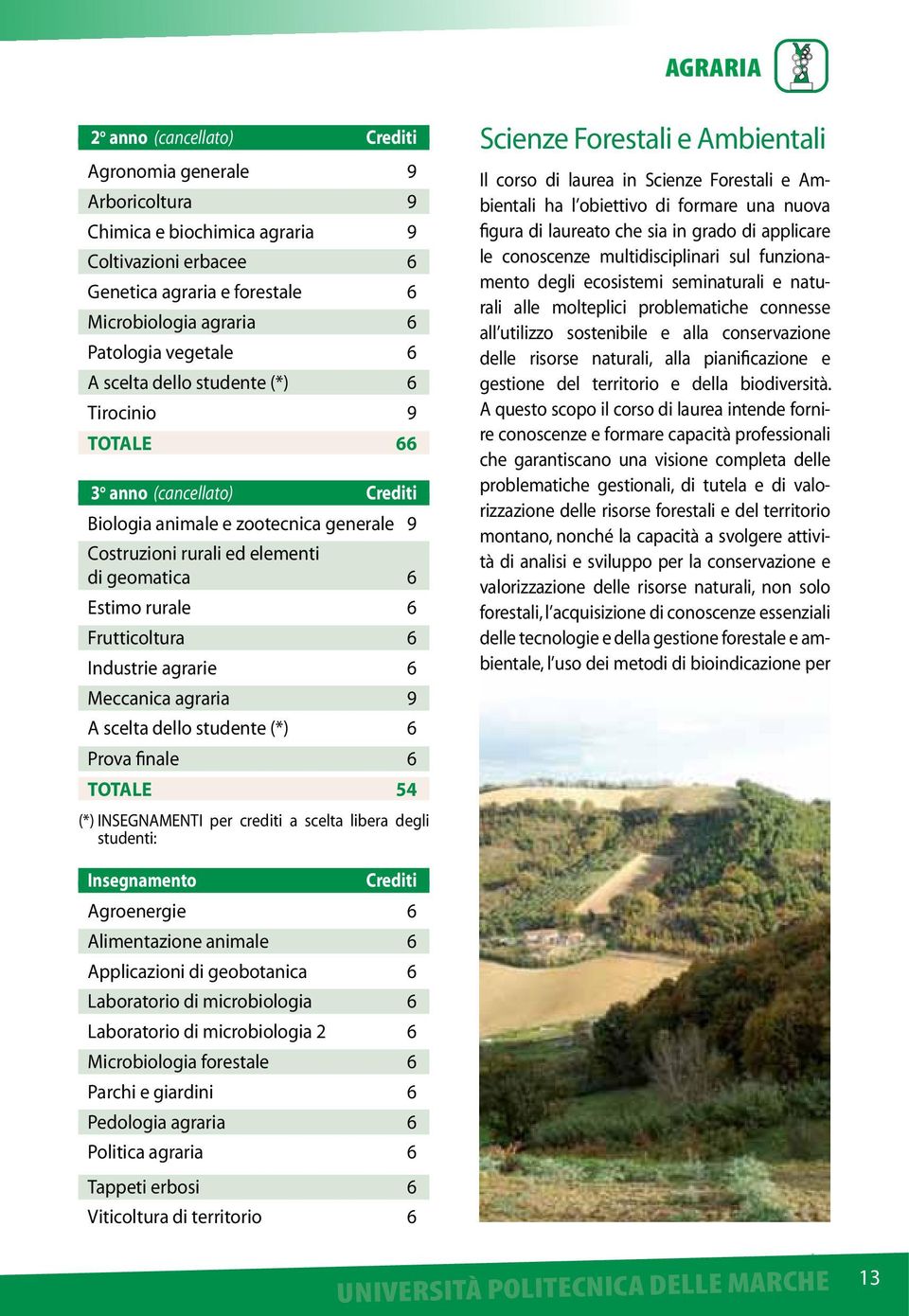 Frutticoltura 6 Industrie agrarie 6 Meccanica agraria 9 A scelta dello studente (*) 6 Prova finale 6 TOTALE 54 (*) INSEGNAMENTI per crediti a scelta libera degli studenti: Scienze Forestali e