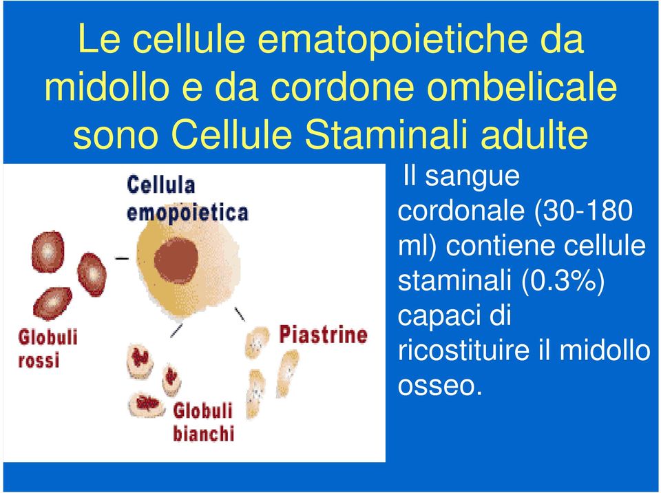 sangue cordonale (30-180 ml) contiene cellule