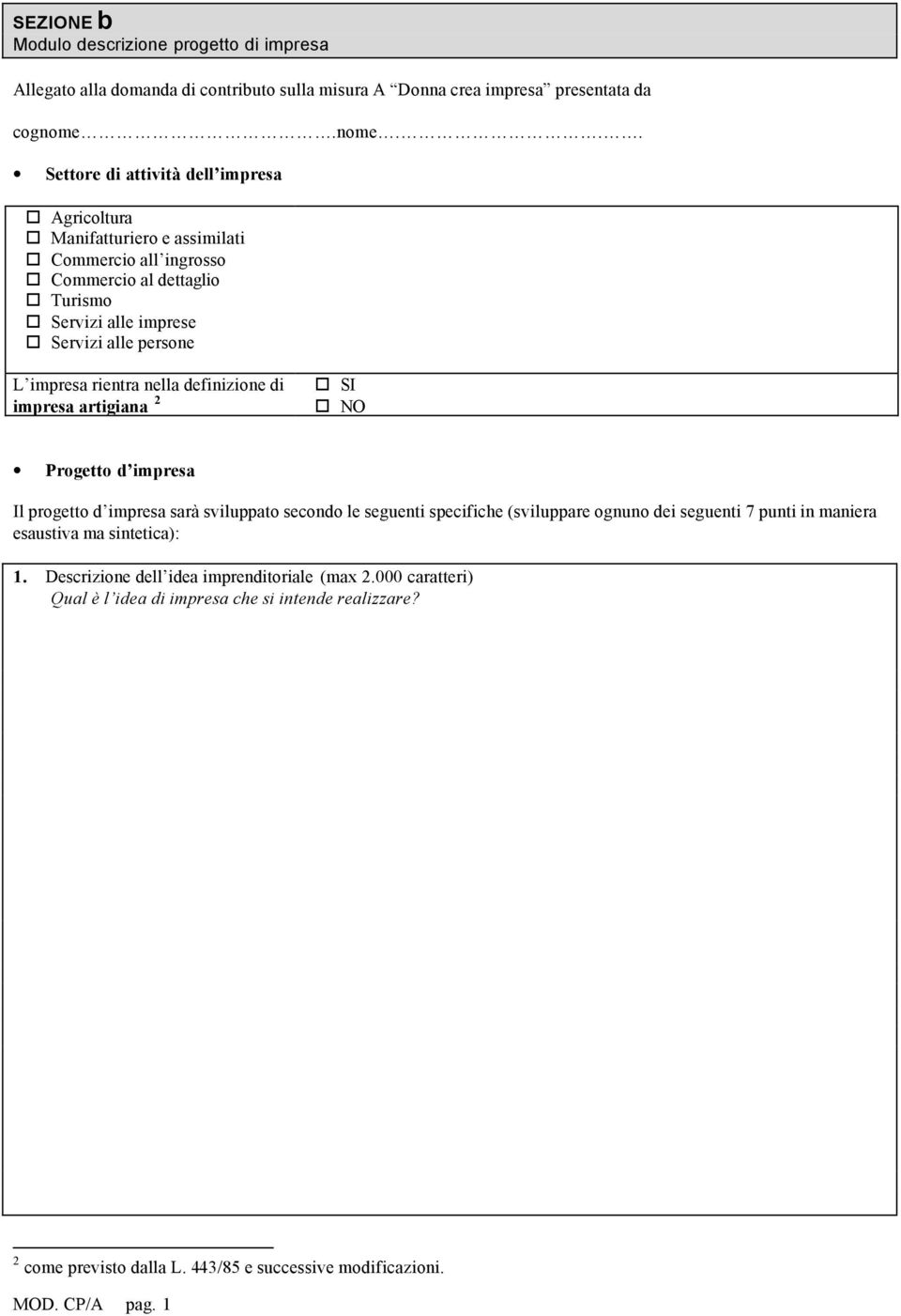 impresa rientra nella definizione di impresa artigiana 2 SI NO Progetto d impresa Il progetto d impresa sarà sviluppato secondo le seguenti specifiche (sviluppare ognuno dei seguenti 7