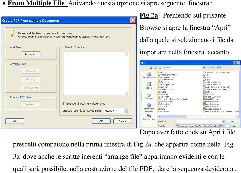 . Dopo aver fatto click su Apri i file prescelti compaiono nella prima finestra di Fig 2a che apparirà come nella Fig