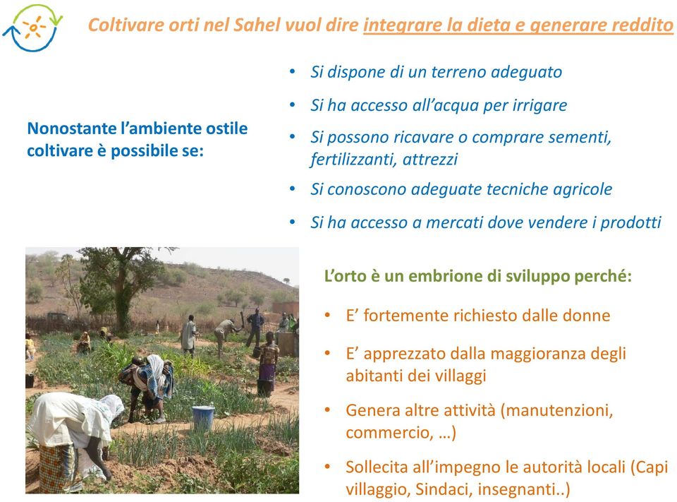 agricole Si ha accesso a mercati dove vendere i prodotti L orto è un embrione di sviluppo perché: E fortemente richiesto dalle donne E apprezzato dalla