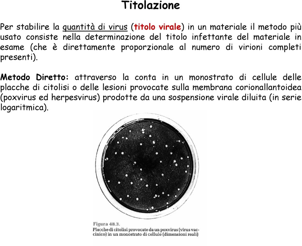 completi presenti).