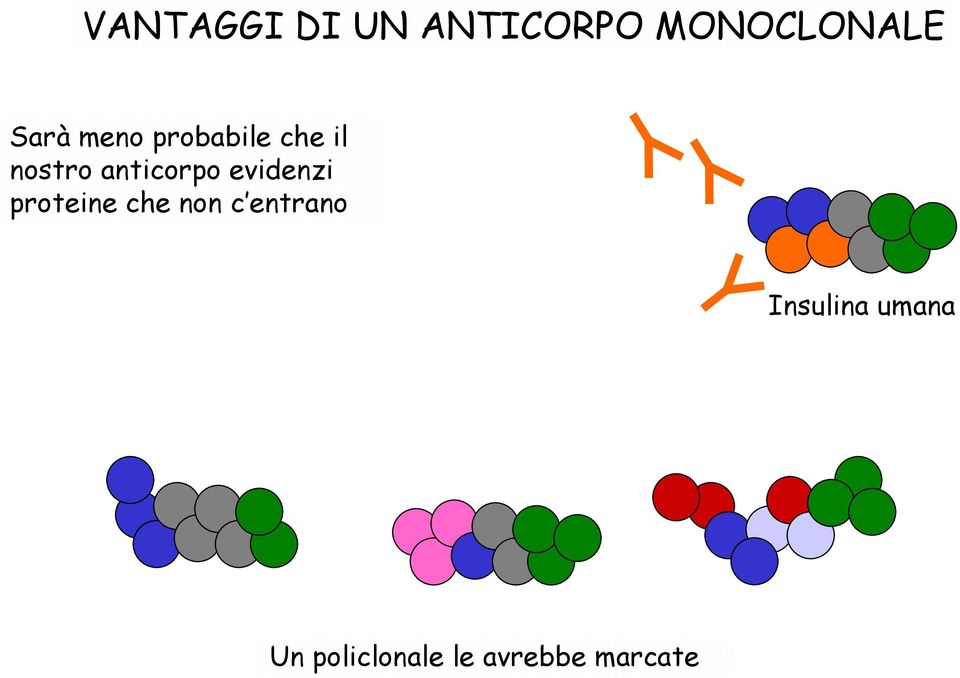 evidenzi proteine che non c entrano