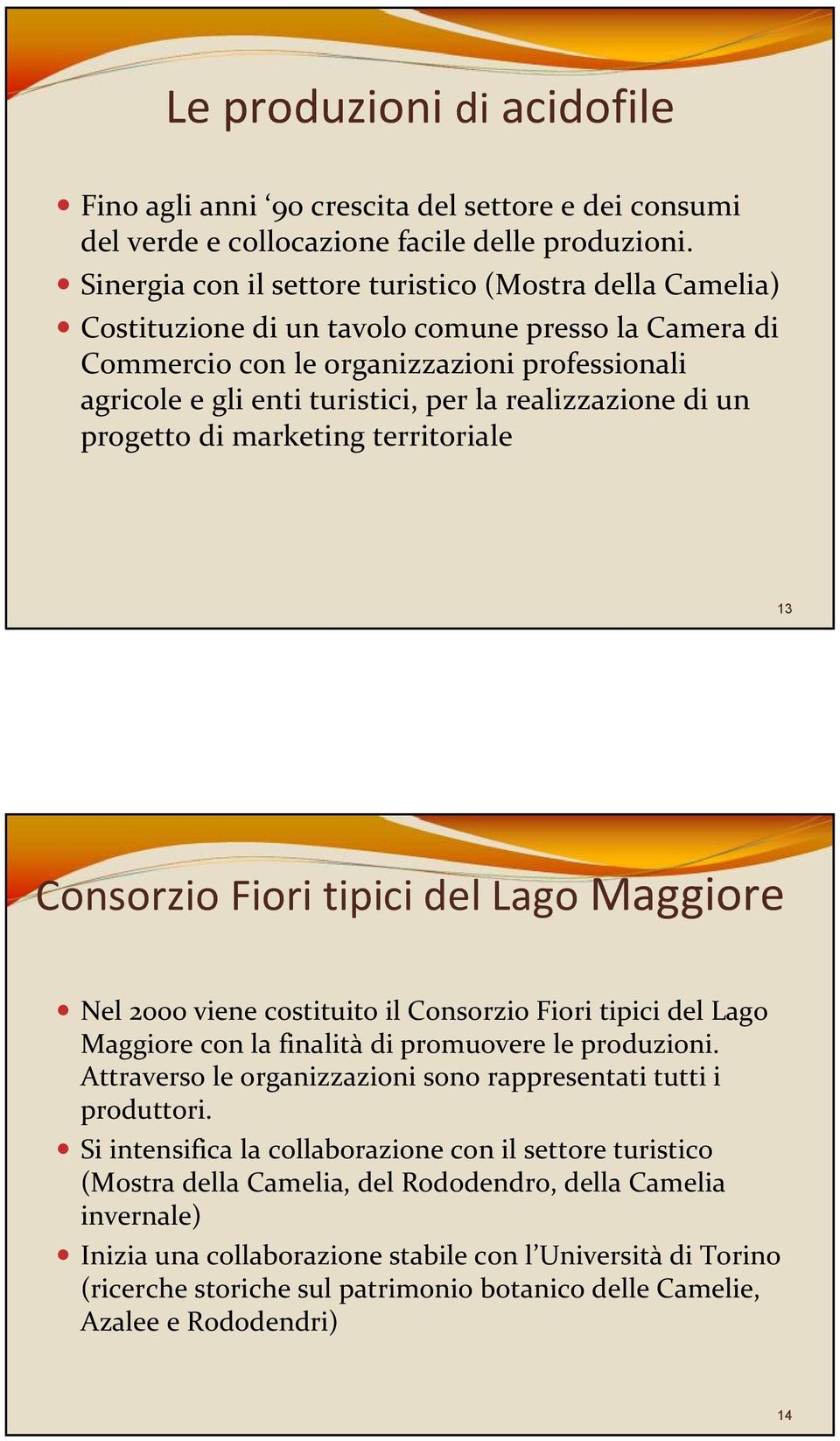 realizzazione di un progetto di marketing territoriale 13 Consorzio Fiori tipici del Lago Maggiore Nel 2000 viene costituito il Consorzio Fiori tipici del Lago Maggiore con la finalità di promuovere