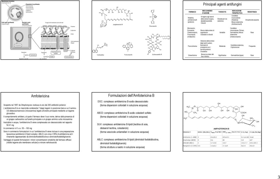 Blocco della sintesi di ergosterolo Citostatici e citocidi Variabile Candidosi micocutanee, Pitiriasi, Dermatofizie, Micosi sistemiche (chetoconazolo) Rara Fluorocitosina Griseofulvina Inibizione