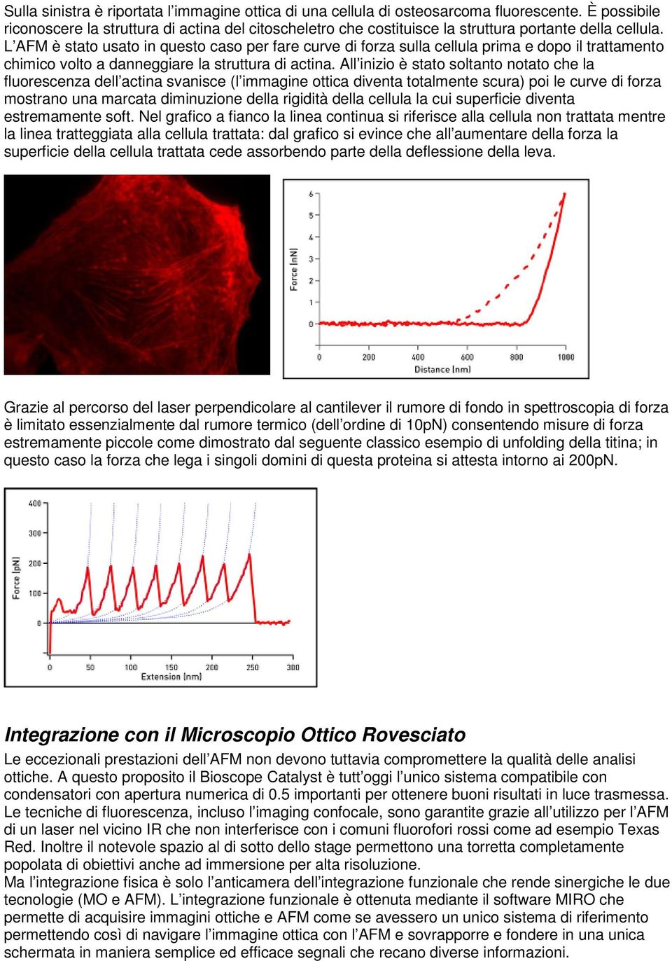 L AFM è stato usato in questo caso per fare curve di forza sulla cellula prima e dopo il trattamento chimico volto a danneggiare la struttura di actina.