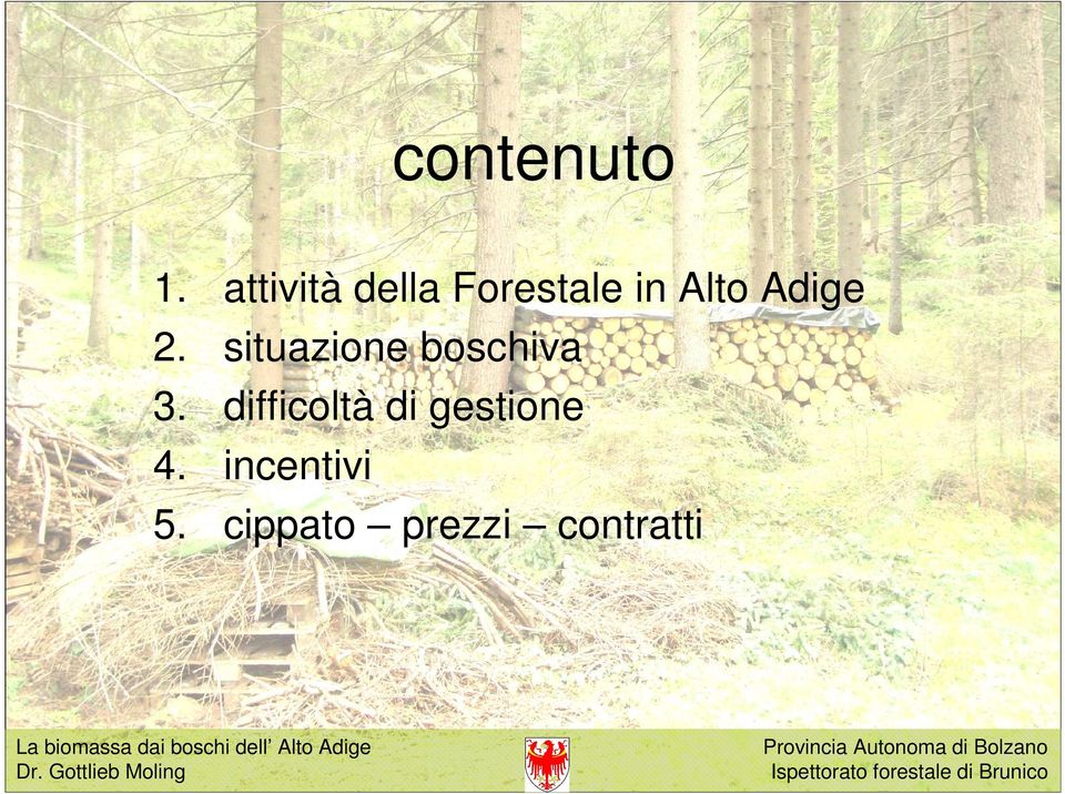 Adige 2. situazione boschiva 3.