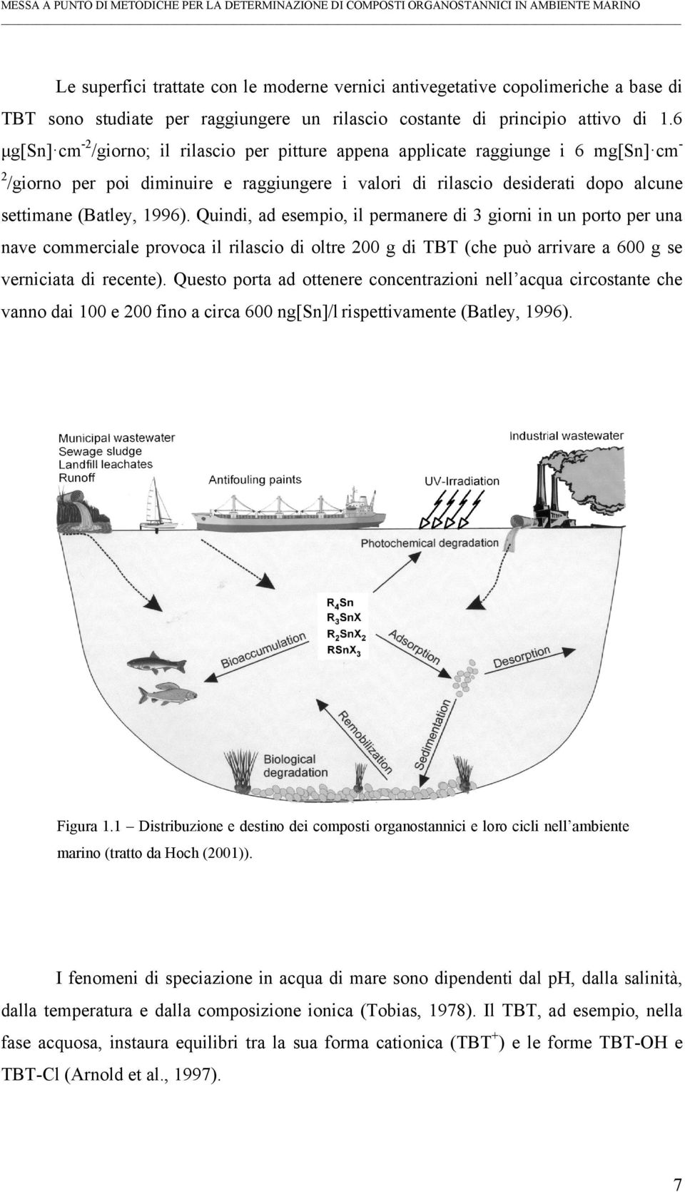 6 μg[sn] cm -2 /giorno; il rilascio per pitture appena applicate raggiunge i 6 mg[sn] cm - 2 /giorno per poi diminuire e raggiungere i valori di rilascio desiderati dopo alcune settimane (Batley,