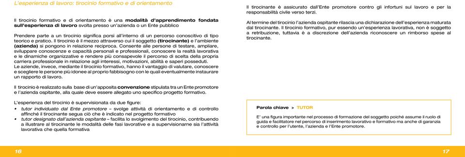 Il tirocinio è il mezzo attraverso cui il soggetto (tirocinante) e l ambiente (azienda) si pongono in relazione reciproca.