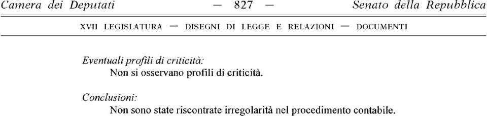 I D O C U M E N T I Non si osservano profili di criticità.