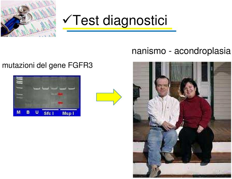 gene FGFR3