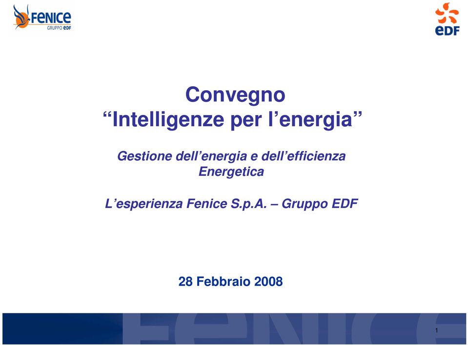 efficienza Energetica L esperienza