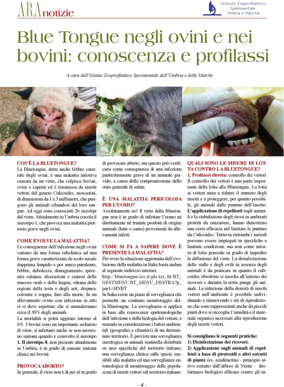 moscerini, di dimensioni da 1 a 3 millimetri, che pungono gli animali cibandosi del loro sangue. Ad oggi sono conosciuti 26 sierotipi del virus.