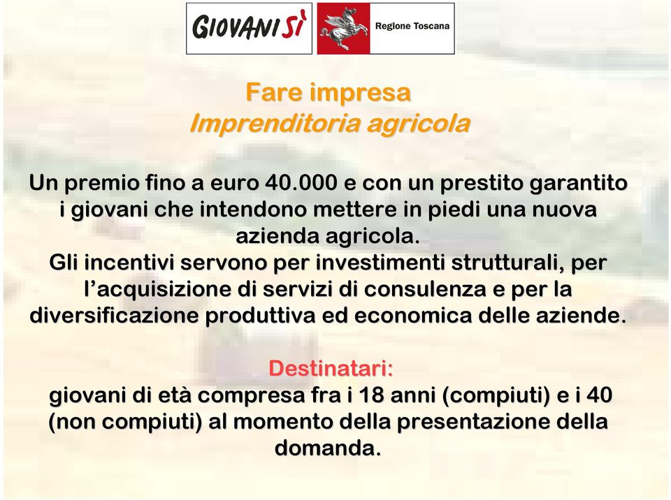 Gli incentivi servono per investimenti strutturali, per l acquisizione di servizi di consulenza e per la