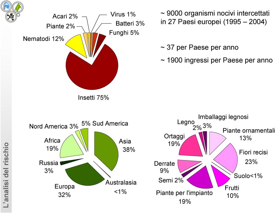 Nord America 3% Africa 19% Russia 3% Europa 32% 5% Sud America Asia 38% Australasia <1% Ortaggi 19% Derrate 9%