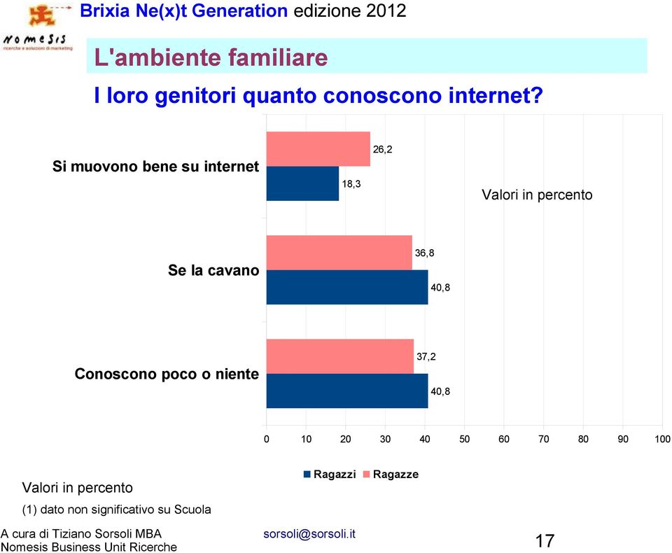 Si muovono bene su internet 18,3 26,2 Se la cavano 36,8 40,8