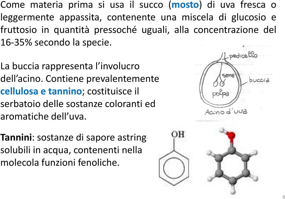 La buccia rappresenta l involucro dell acino.