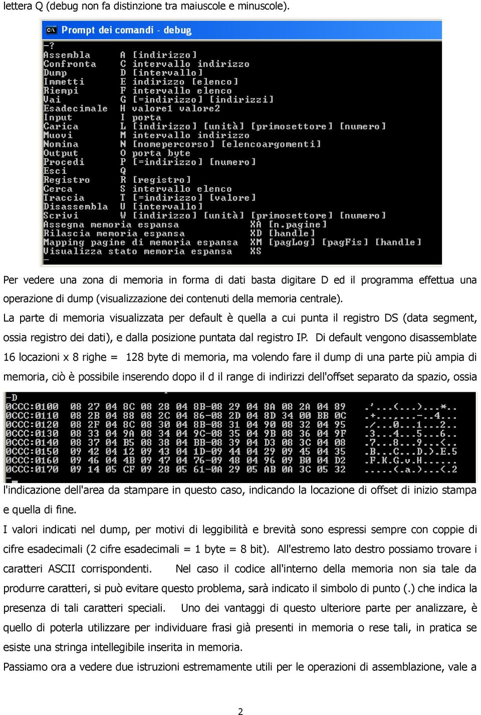 La parte di memoria visualizzata per default è quella a cui punta il registro DS (data segment, ossia registro dei dati), e dalla posizione puntata dal registro IP.