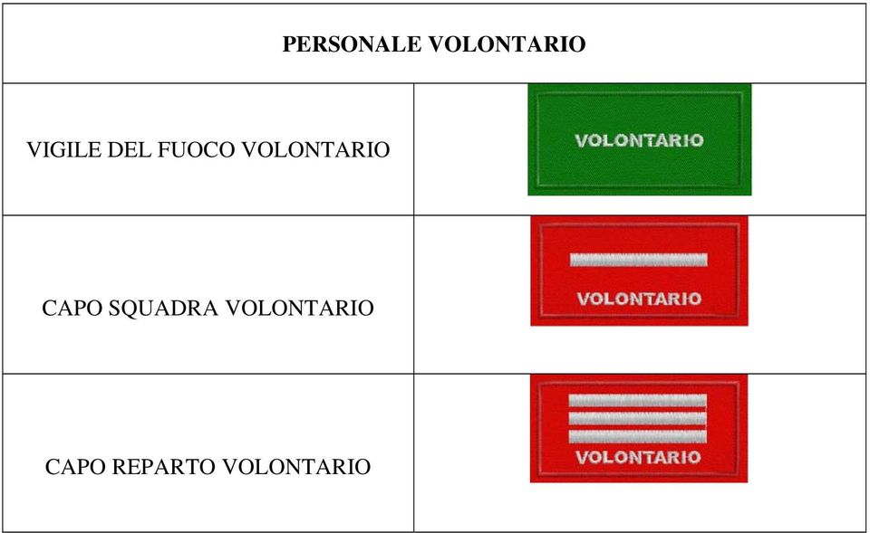 VOLONTARIO CAPO SQUADRA