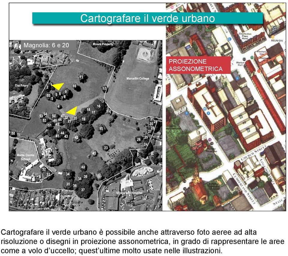 alta risoluzione o disegni in proiezione assonometrica, in grado di