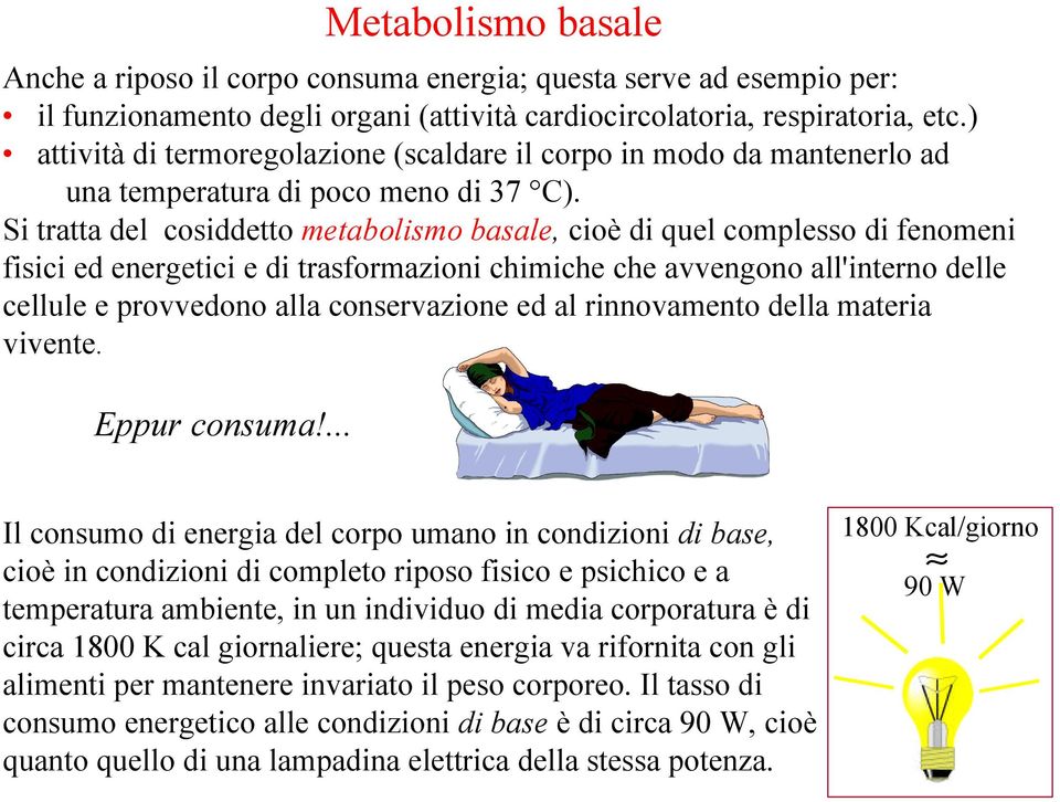Si tratta del cosiddetto metabolismo basale, cioè di quel complesso di fenomeni fisici ed energetici e di trasformazioni chimiche che avvengono all'interno delle cellule e provvedono alla
