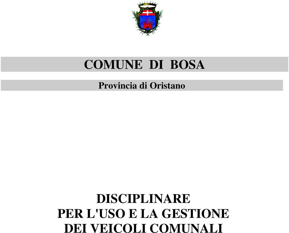 DISCIPLINARE PER L'USO