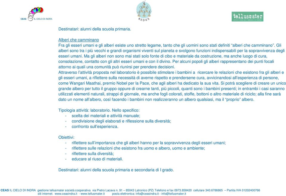 Ma gli alberi non sono mai stati solo fonte di cibo e materiale da costruzione, ma anche luogo di cura, consolazione, contatto con gli altri esseri umani e con il divino.