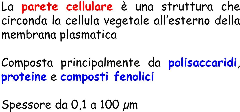 plasmatica Composta principalmente da