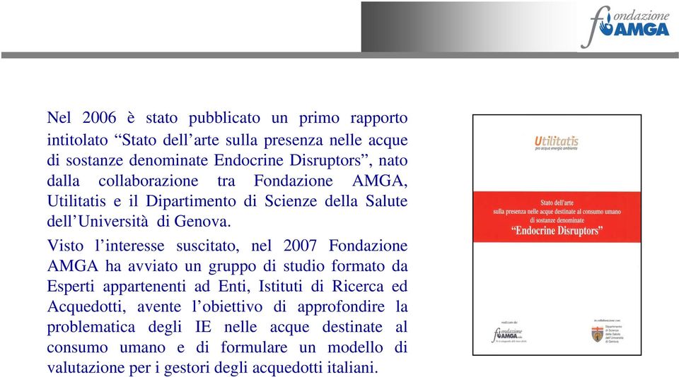 Visto l interesse suscitato, nel 2007 Fondazione AMGA ha avviato un gruppo di studio formato da Esperti appartenenti ad Enti, Istituti di Ricerca ed