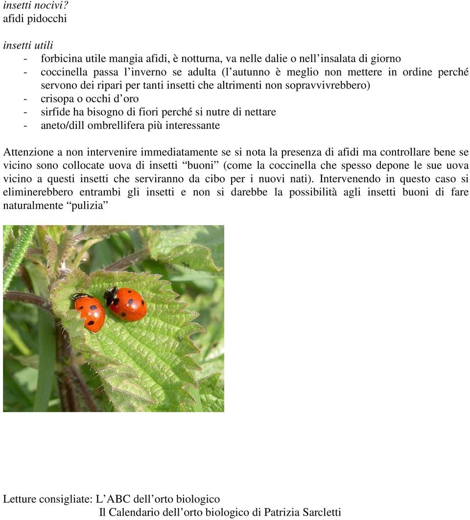 perché servono dei ripari per tanti insetti che altrimenti non sopravvivrebbero) - crisopa o occhi d oro - sirfide ha bisogno di fiori perché si nutre di nettare - aneto/dill ombrellifera più