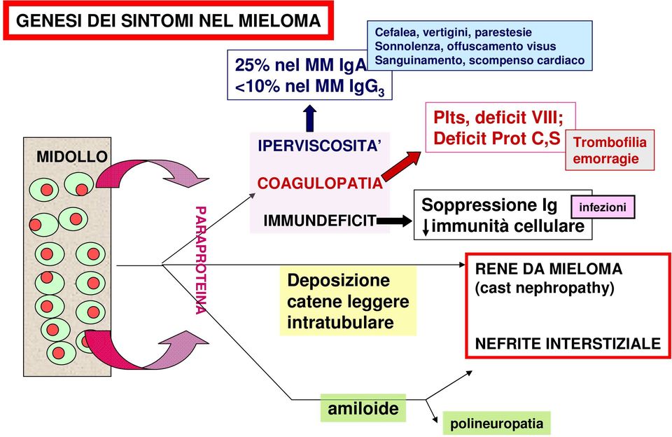 Trombofilia emorragie PARAPROTEINA COAGULOPATIA IMMUNDEFICIT Deposizione catene leggere intratubulare