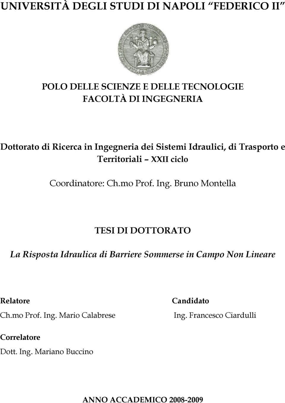 gneria dei Sistemi Idraulici, di Trasporto e Territoriali XXII ciclo Coordinatore: Ch.mo Prof. Ing.