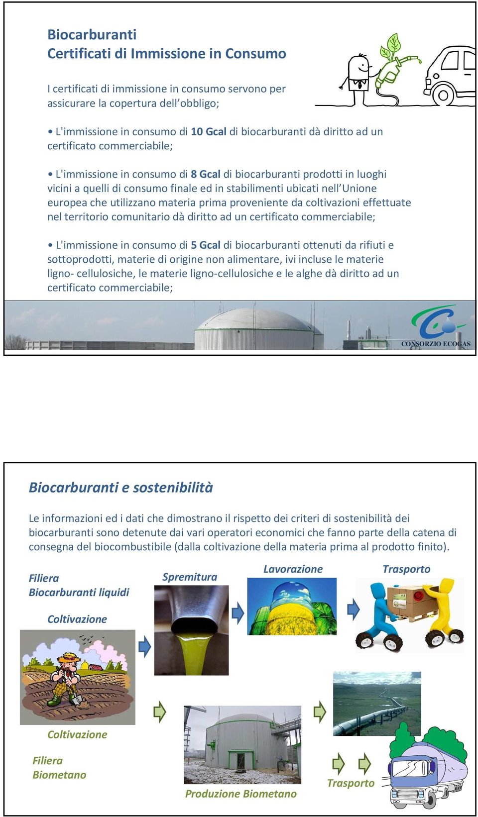 utilizzano materia prima proveniente da coltivazioni effettuate nel territorio comunitario dà diritto ad un certificato commerciabile; L'immissione in consumo di 5 Gcal di biocarburanti ottenuti da