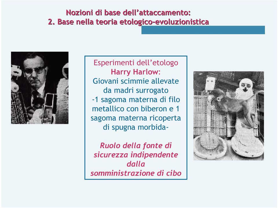 Harry Harlow: Giovani scimmie allevate da madri surrogato -1 sagoma materna di filo