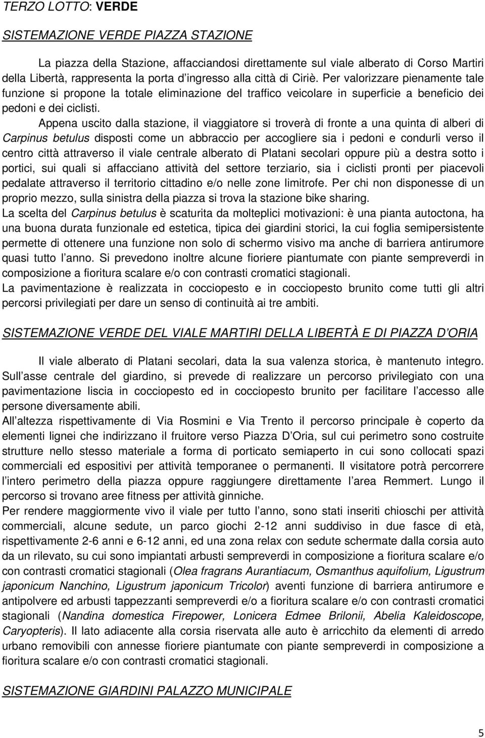 Appena uscito dalla stazione, il viaggiatore si troverà di fronte a una quinta di alberi di Carpinus betulus disposti come un abbraccio per accogliere sia i pedoni e condurli verso il centro città