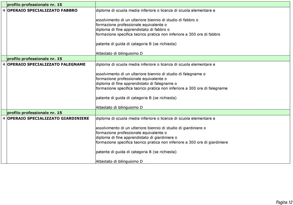 ulteriore biennio di studio di falegname o diploma di fine apprendistato di falegname o formazione specifica teorico pratica non inferiore a 300 ore di falegname 4 OPERAIO SPECIALIZZATO GIARDINIERE