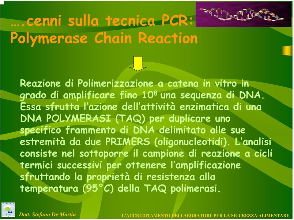 Essa sfrutta l azione dell attività enzimatica di una DNA POLYMERASI (TAQ) per duplicare uno specifico frammento di DNA delimitato