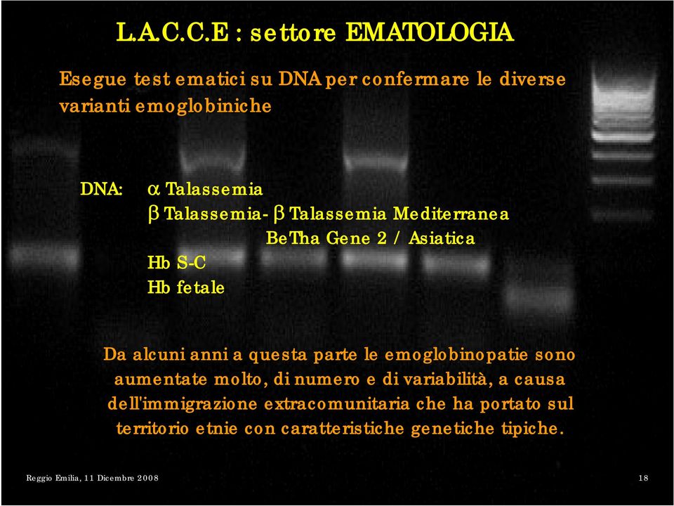 Talassemia β Talassemia- β Talassemia Mediterranea BeTha Gene 2 / Asiatica Hb S-C Hb fetale Da alcuni anni a