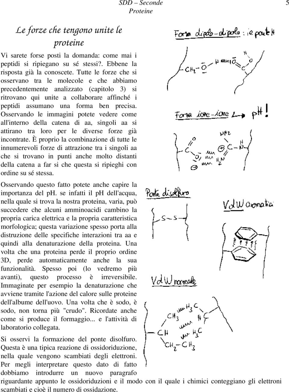 Osservando le immagini potete vedere come all'interno della catena di aa, singoli aa si attirano tra loro per le diverse forze già incontrate.