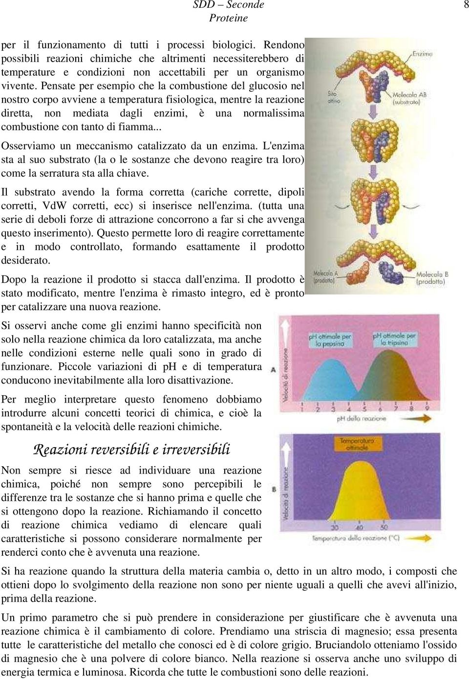 di fiamma... Osserviamo un meccanismo catalizzato da un enzima. L'enzima sta al suo substrato (la o le sostanze che devono reagire tra loro) come la serratura sta alla chiave.