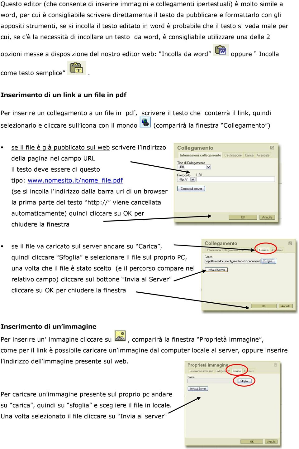 opzioni messe a disposizione del nostro editor web: "Incolla da word oppure Incolla come testo semplice.