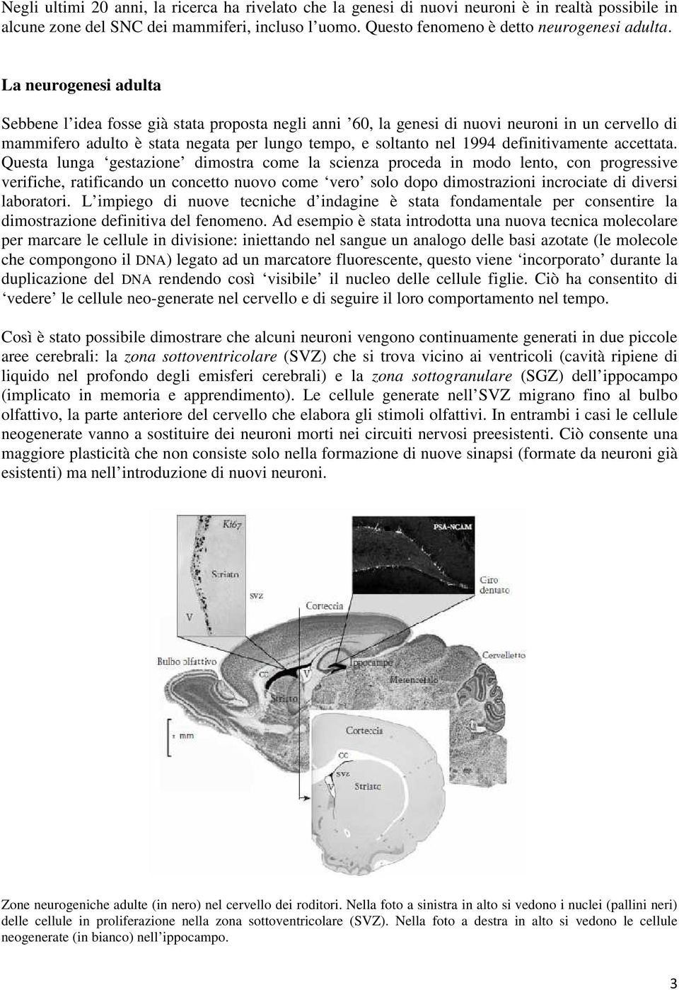 definitivamente accettata.