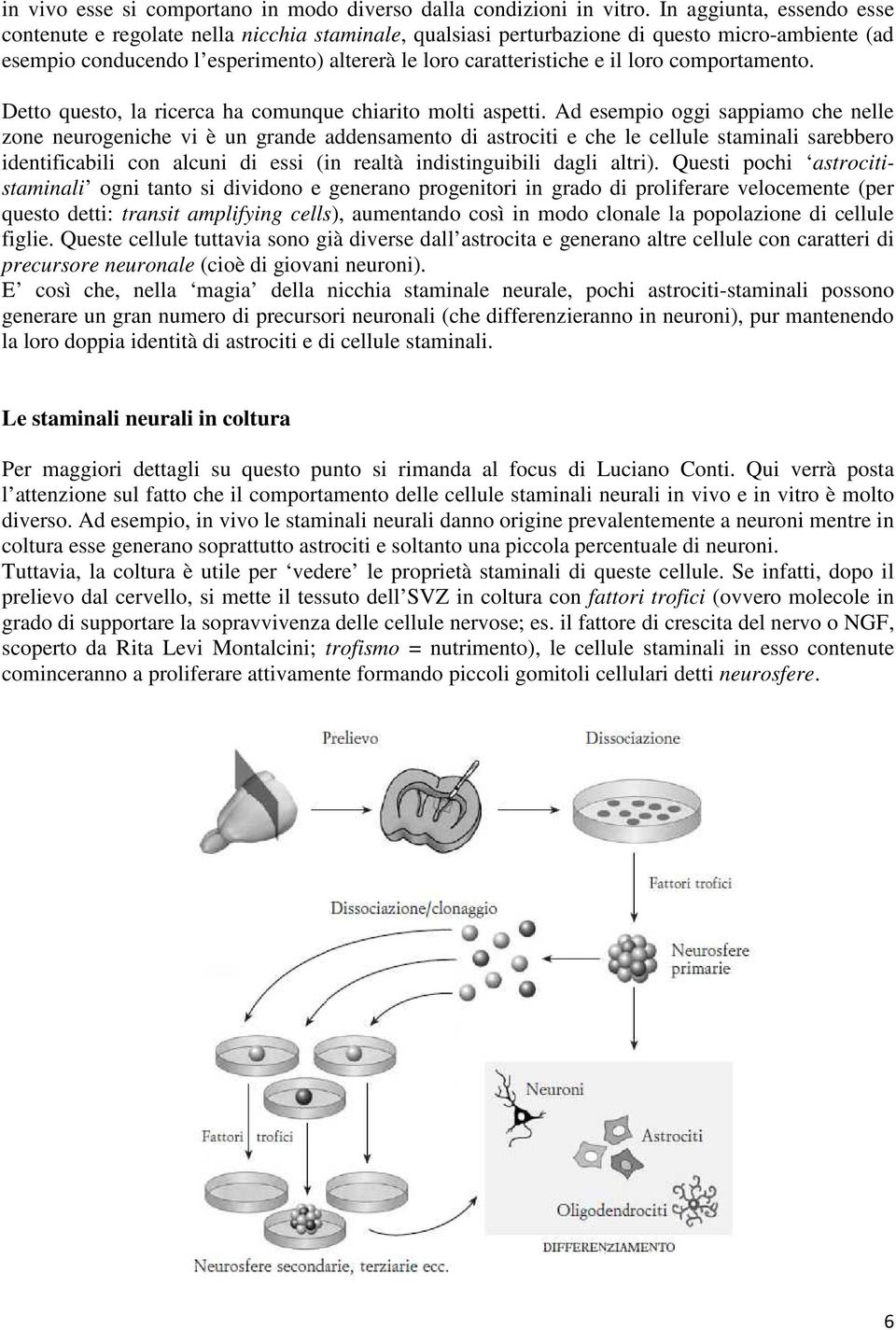 loro comportamento. Detto questo, la ricerca ha comunque chiarito molti aspetti.