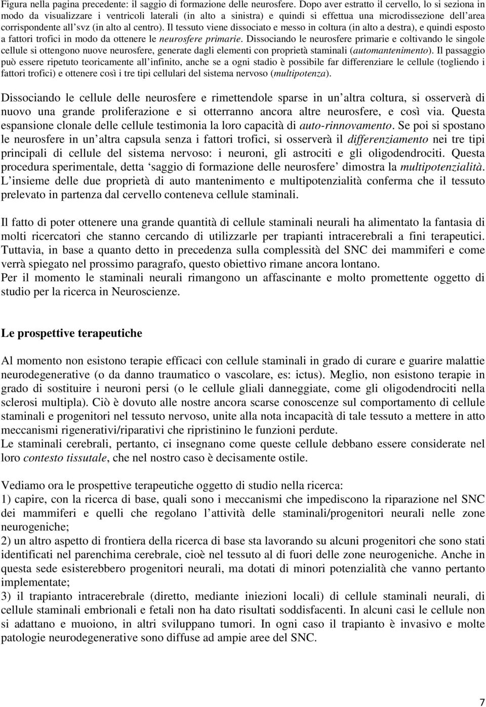 centro). Il tessuto viene dissociato e messo in coltura (in alto a destra), e quindi esposto a fattori trofici in modo da ottenere le neurosfere primarie.