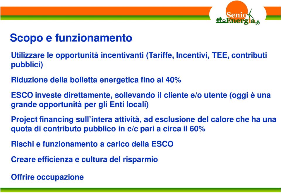 per gli Enti locali) Project financing sull intera attività, ad esclusione del calore che ha una quota di contributo pubblico